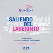 SALIENDO DEL LABERINTO