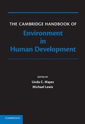 the cambridge handbook of environment in human development
