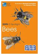 Rspb id Spotlight - Bees 