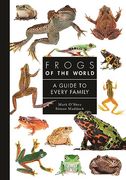 Frogs of the World: A Guide to Every Family (a Guide to Every Family, 9)
