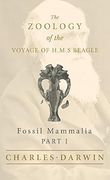 Fossil Mammalia - Part I - The Zoology of the Voyage of H.M.S Beagle (en Inglés)