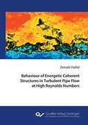 Behaviour of Energetic Coherent Structures in Turbulent Pipe Flow at High Reynolds Number (en Inglés)
