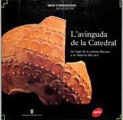 L'avinguda de la Catedral: De L'ager de la ColòNia Barcino a la Vilanova Dels Arcs (en Catalán)