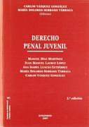 Derecho Penal Juvenil