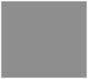 The Holiday Pictures (en Inglés)