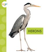 Herons (en Inglés)