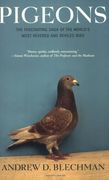 pigeons,the fascinating saga of the world´s most revered and reviled bird