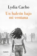 Un halcón bajo mi ventana