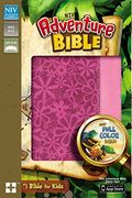 adventure bible, niv