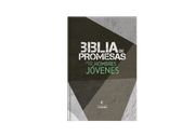 Biblia de Promesas Edición para Hombres NTV