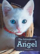 The Adventures of Angel: A Kitten's Story