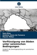 Verflüssigung von Böden unter seismischen Bedingungen (in German)