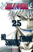 Bleach 25