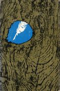 the true country: themes in the fiction of flannery o'connor (en Inglés)