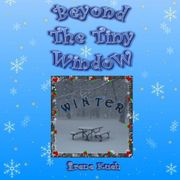 Beyond The Tiny Window: WINTER