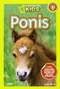 Ponis Nivel 1 Ng