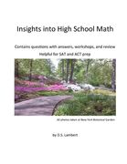 Insights into High School Math: Contains questions with answers, workshops, and review (en Inglés)