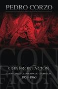 Confrontación: Lucha cívica, clandestinaje, guerrillas