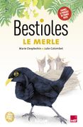 Bestioles - le Merle (in French)