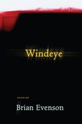 windeye