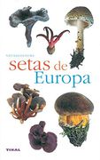Setas de Europa