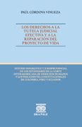 LOS DERECHOS A LA TUTELA JUDICIAL EFECTIVA Y A LA REPARACIÓN DEL PROYECTO DE VIDA