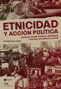 Etnicidad y acción política