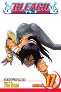 bleach 17 (en Inglés)