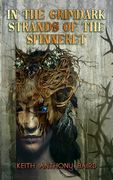 In the Grimdark Strands of the Spinneret: A Fairy Tale for Elders (en Inglés)