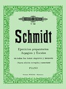 Libro Prendas de Ganchillo / Crochet Para la Casa: Pequeñas Labores Para  Gastar Restos de Hilos De Cailla Schmidt,Rasmussen - Buscalibre