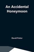 An Accidental Honeymoon (en Inglés)