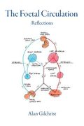 The Foetal Circulation