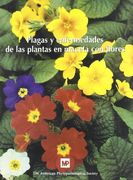 Plagas y Enfermedades de las Plantas en Maceta con Flores