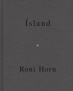 Roni Horn (en Inglés)