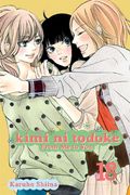 Kimi ni Todoke: From Me to You, Vol. 18 (en Inglés)