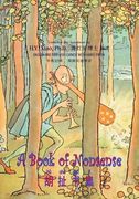 A Book of Nonsense (Simplified Chinese): 05 Hanyu Pinyin Paperback B&w