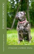 italian corso dog: italian corso dog