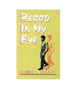 Blood in my eye (en Inglés)