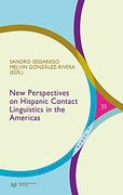 New Perspectives on Hispanic Contact Linguistics in the Americas. (Lengua y Sociedad en el Mundo Hispánico)