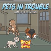 Pets In Trouble: What Did They Do Wrong?