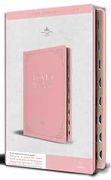 Biblia rvr 1960 Letra Grande Tamaño Manual, Piel Rosada con Índice / Spanish Bible rvr 1960 Handy Size Large Print Leathersoft Pink With Index
