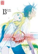 Bright sun - Dark Shadows - Band 13 (Finale) (in German)