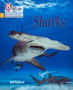 Big Cat Phonics for Little Wandle Letters and Sounds Revised - Sharks: Phase 5 (en Inglés)