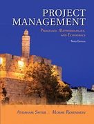 Project Management: Processes, Methodologies, and Economics