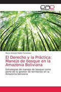 El Derecho y la Práctica: Manejo de Bosque en la Amazonia Boliviana