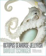 Octopus, Seahorse, Jellyfish (en Inglés)