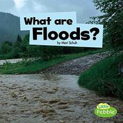 What are Floods? (Little Pebble: Wicked Weather) (en Inglés)