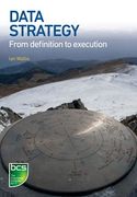 Data Strategy: From Definition to Execution (en Inglés)