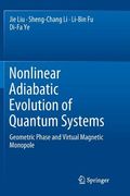 Nonlinear Adiabatic Evolution of Quantum Systems: Geometric Phase and Virtual Magnetic Monopole (en Inglés)