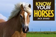 Know Your Horses (en Inglés)